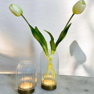 Vasetti in Vetro ottico con Base con LED Integrato